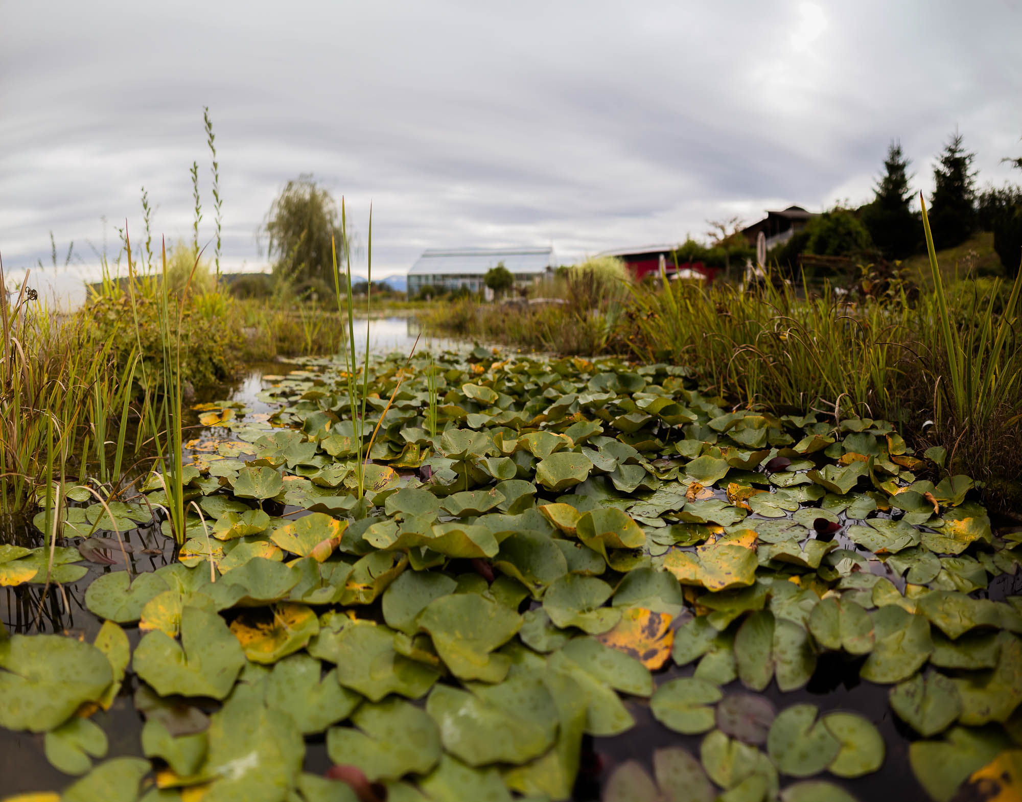 Export x3 1DX27975 Pano Hochzeit 2020 Claudia & Thomas